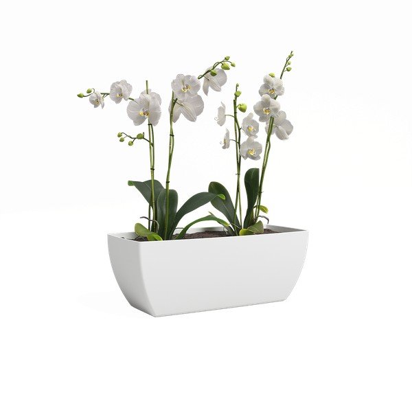Iš perdirbto plastiko vazonas gėlėms 30 cm Siena – Artevasi
