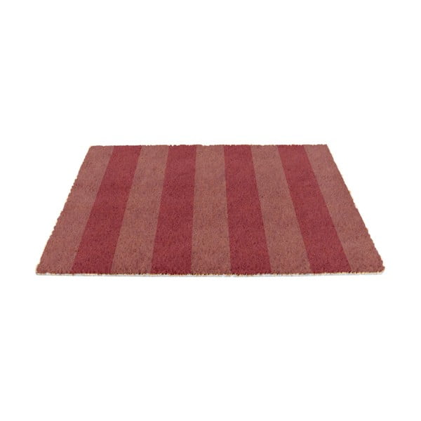 Iš kokoso pluošto grindų kilimėlis 40x60 cm Pink Stripe – Artsy Doormats