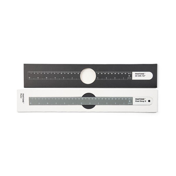 Pilka nerūdijančio plieno liniuotė Pantone Ruler, 30 cm-image-1