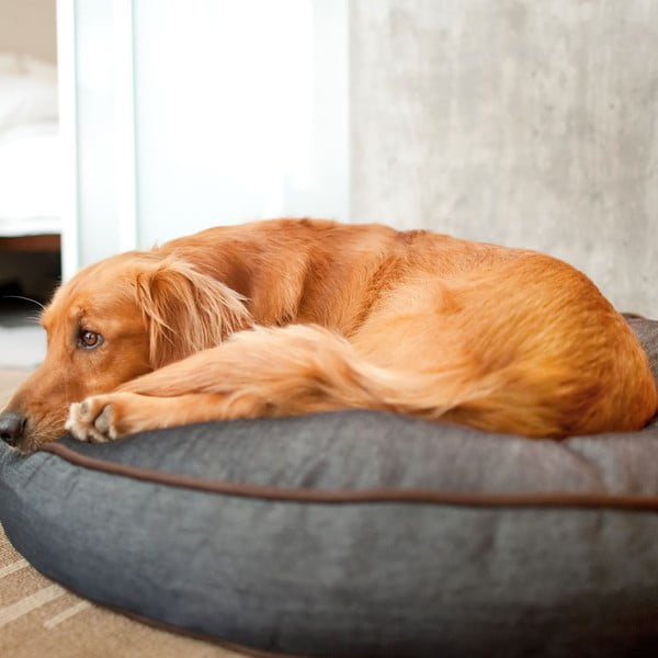 Augintinio guolis tamsiai mėlynos spalvos šuniui ø 70 cm Round Bed Denim Medieval Blue / Dark Chocolate S – P.L.A.Y.-image-1