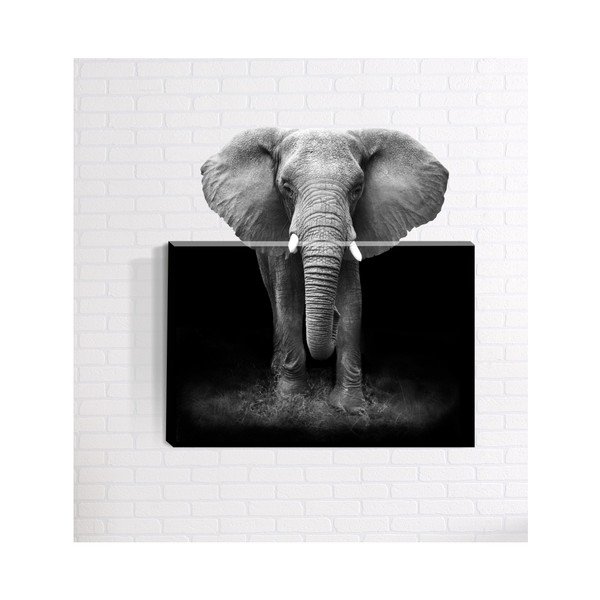 3D sienų tapyba "Mosticx Africa", 40 x 60 cm