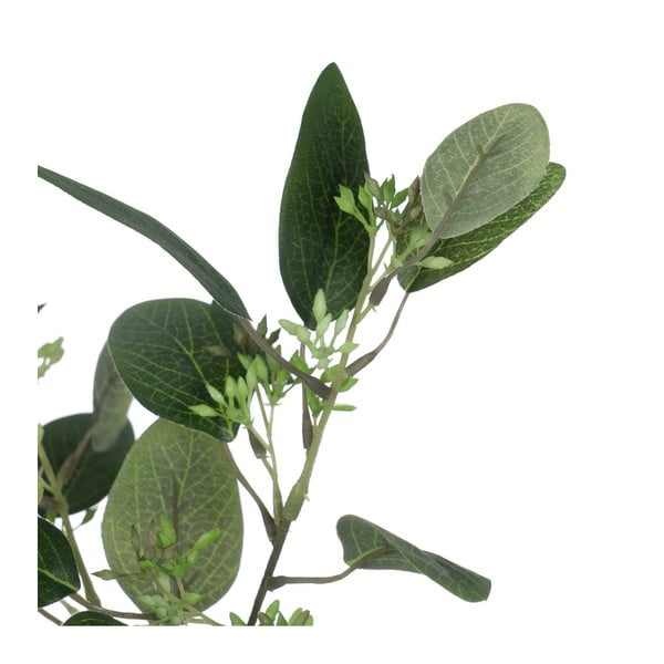 Dirbtinis eukaliptas (aukštis 59 cm) – Ixia-image-1