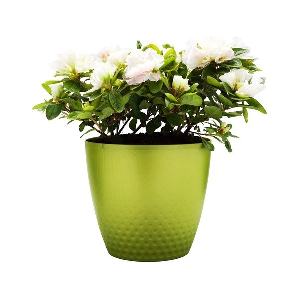 Žalias vazonas Plastia Perla, ø 21,5 cm-image-1