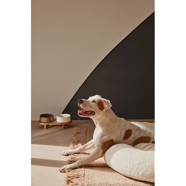 Keraminiai dubenėliai šunims 2 vnt. Dumbi - Kave Home-image-4