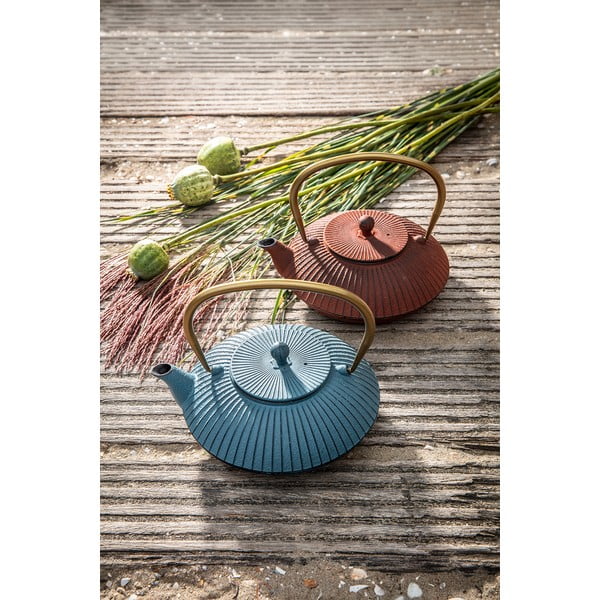 Iš ketaus arbatinukas mėlynos spalvos 1,1 l Linhai – Bredemeijer-image-4