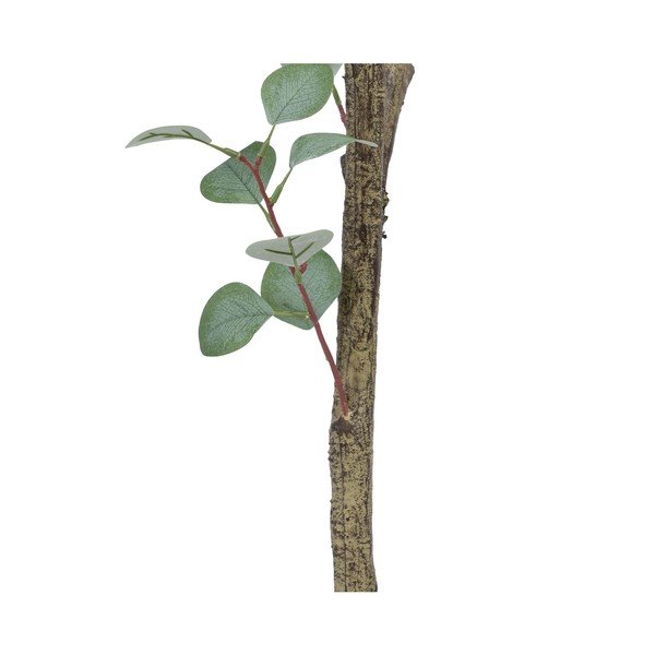 Dirbtinis eukaliptas (aukštis 180 cm) Eucalyptus – Ixia-image-4