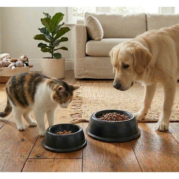 Iš molio augintinių dubuo visi augintiniai ø 21 cm – Casafina-image-2