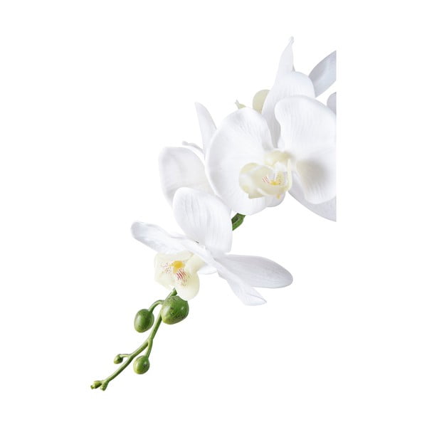 Dirbtinė gėlė (aukštis 47 cm) Orchid – House Nordic-image-2