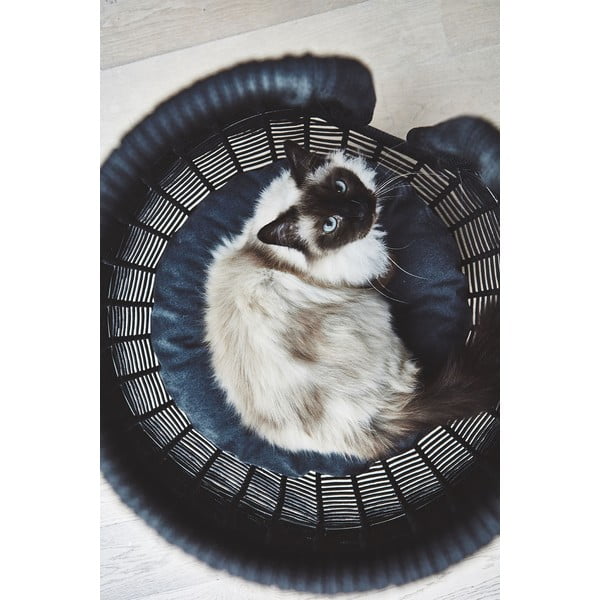 Augintinio guolis antracito spalvos katei ø 56 cm Perla Anthracite – MiaCara-image-3