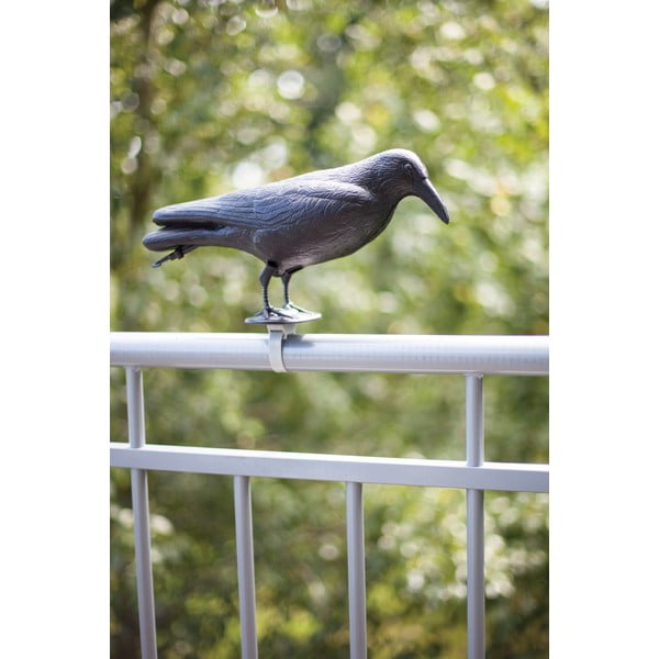Iš plastiko kaliausė Crow – Esschert Design-image-1