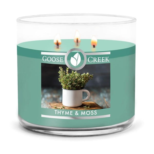 Kvapni žvakė indelyje Goose Creek Thyme & Moss, 35 hodin hoření