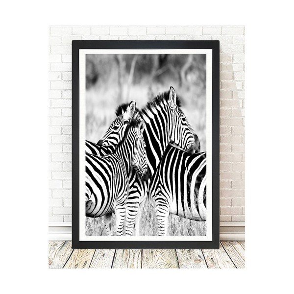Paveikslas Tablo Center Zebras, 24 x 29 cm-image-1