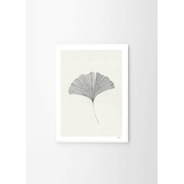 Plakatas 50x70 cm Ginkgo Leaf – Ana Frois – The Poster Club-image-4