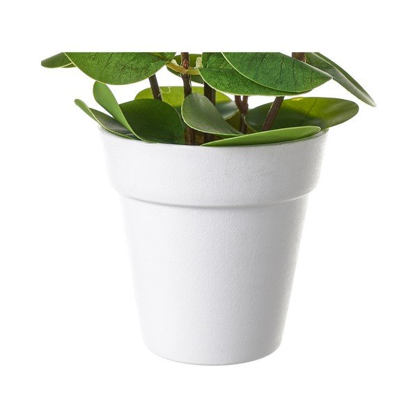 Dirbtinė gėlė – Casa Selección-image-1