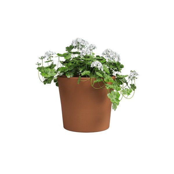Vazonas iš terakotos ø 39 cm Manuel – Artevasi-image-2