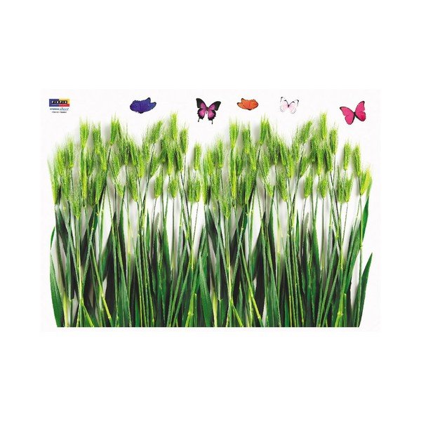 Lipdukas Ambiance Green Barley Field-image-3