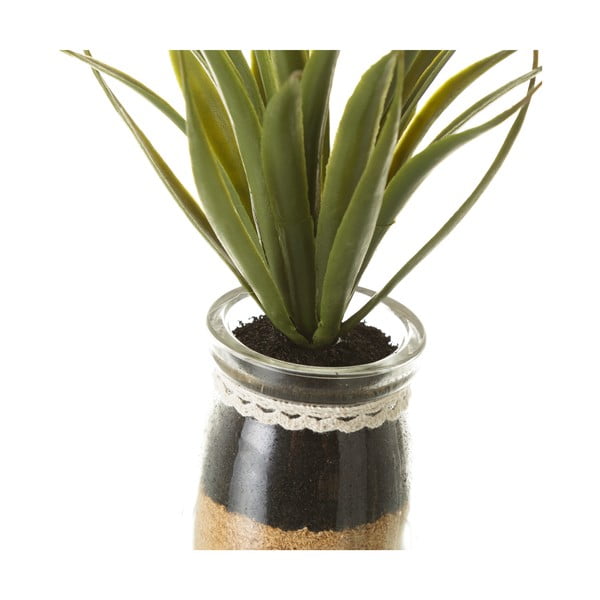 Dirbtiniai augalai 4 vnt. (aukštis 18 cm) Cactus – Casa Selección-image-2