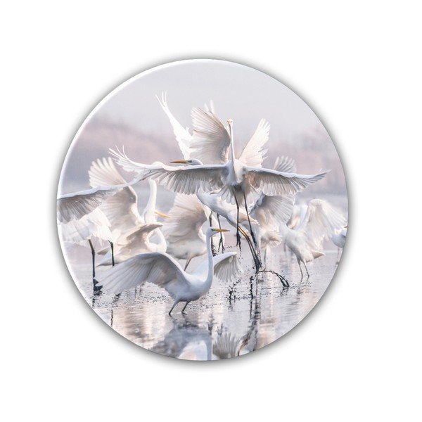 Sienų dekoracija "Styler Ring Herons", ø 70 cm-image-1