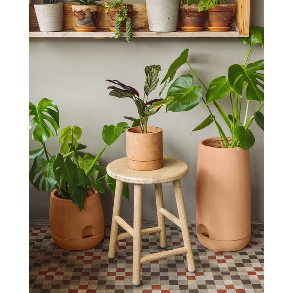 Terakotos spalvos vazonas su dubeniu Kave Home Lelis, aukštis 26 cm-image-4