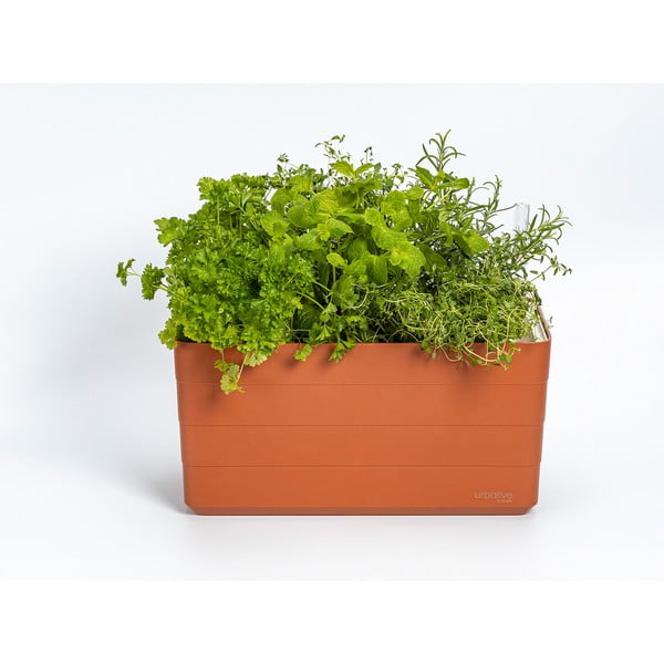 Iš plastiko vazonas gėlėms su savaiminio laistymo funkcija 39,5 cm Berberis – Plastia-image-1