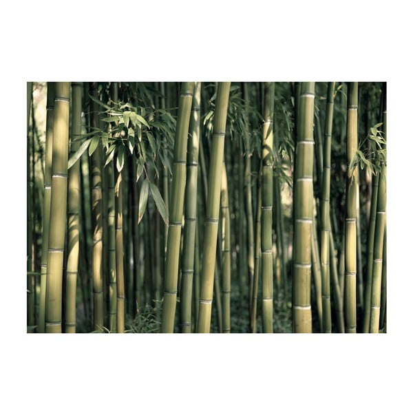 Didelio formato tapetai Artgeist Bamboo Exotic, 200 x 140 cm