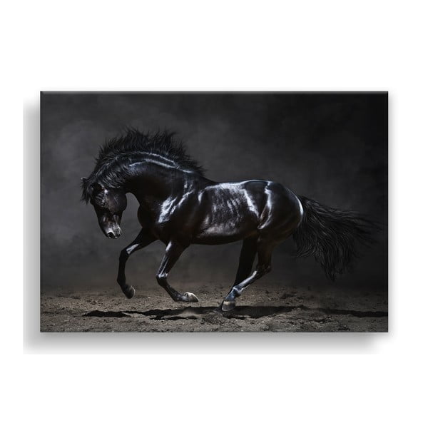 Vaizdas Styler Canvas Silver Uno Horse, 85 x 113 cm