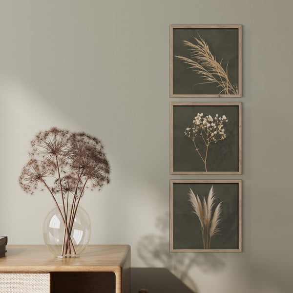 Paveikslai 3 vnt. 30x30 cm Pampas – Styler-image-1