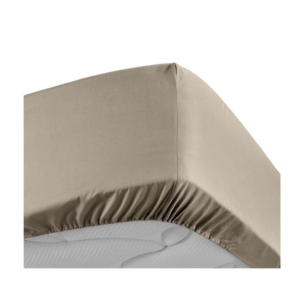 Paklodė iš medvilninio perkelio šviesiai rudos spalvos su guma 160x200 cm Percaline – douceur d'intérieur-image-3