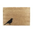 Iš kokoso pluošto grindų kilimėlis 40x60 cm Bird – Artsy Doormats