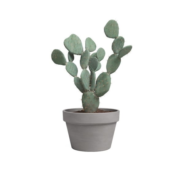 Vazonas iš terakotos ø 32 cm Amalia – Artevasi-image-2