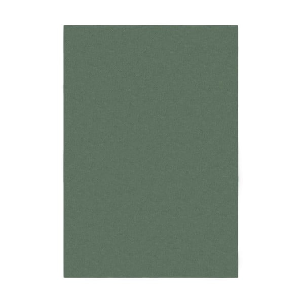 Kilimas žalios spalvos 200x290 cm – Flair Rugs