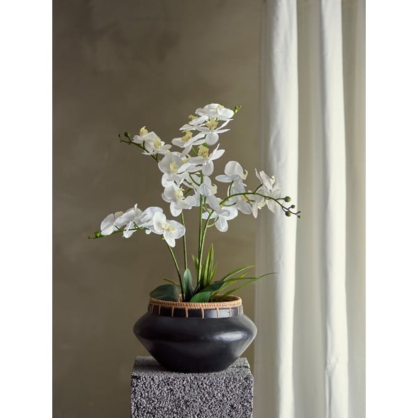 Dirbtinė gėlė (aukštis 84 cm) Orchid – Bloomingville-image-1