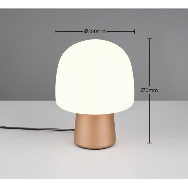 Stalinis šviestuvas baltos spalvos/bronzinės spalvos (aukštis 27 cm) su stiklo gaubtu Steen – Trio-image-3