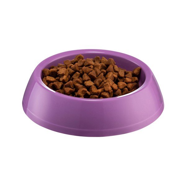 Violetinės spalvos dubenėlis šunims Petpetite, ø 14 cm-image-1