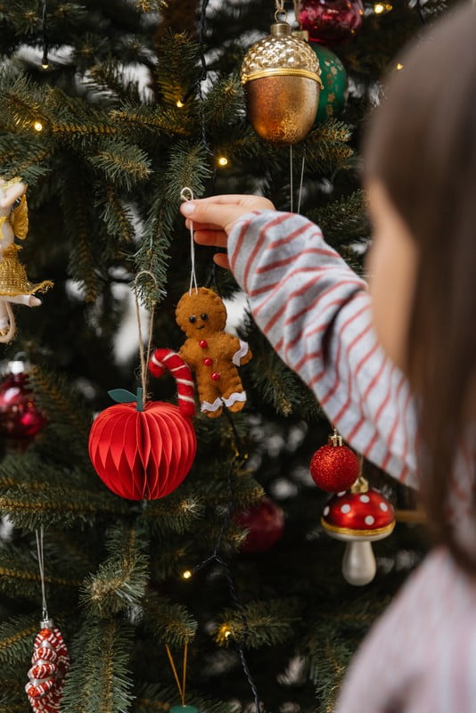 Įkvėpimas: Kalėdų