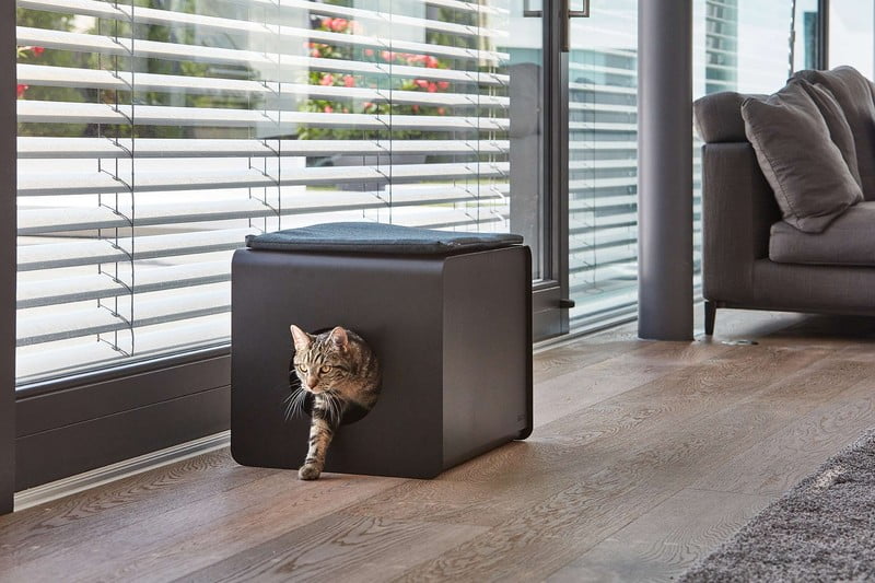 Įkvėpimas : Svetainė, Augintiniai, Skandinaviškas stilius