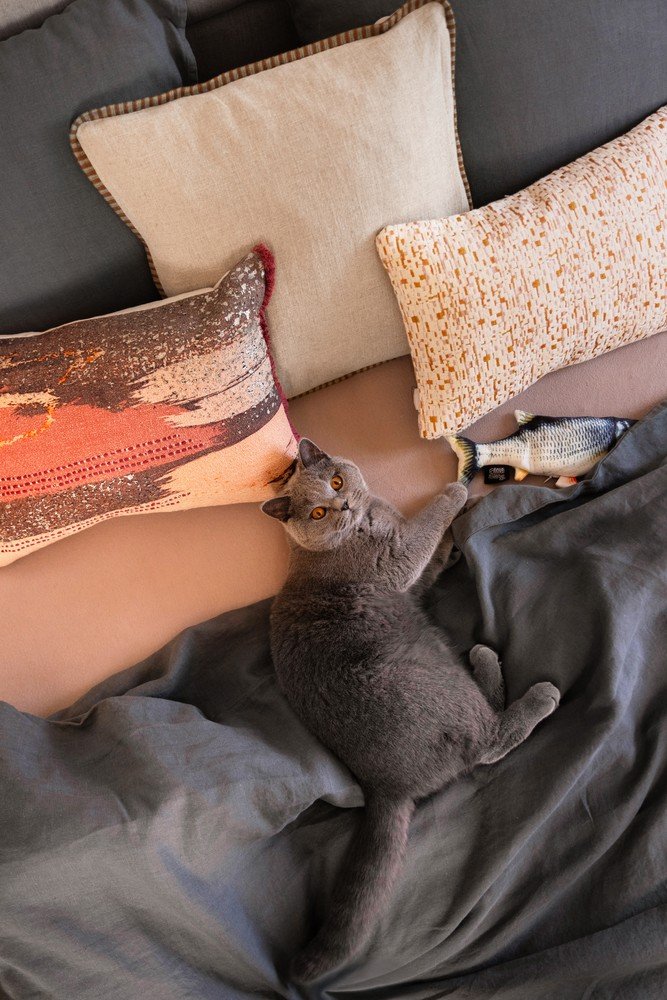 Įkvėpimas : Bonami svečiuose