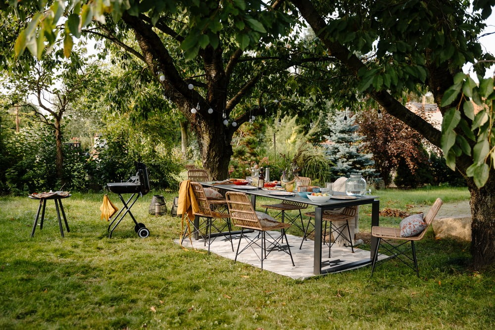 Įkvėpimas : Vasara, Sodas