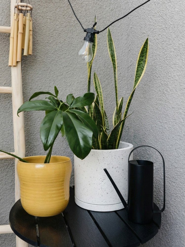 Įkvėpimas : Balkonas ir terasa, Sodas