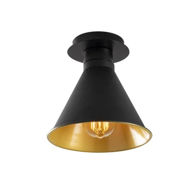 Juodos spalvos/auksinės spalvos lubinis šviestuvas ø 20 cm su metaliniu gaubtu Tramino – Opviq lights