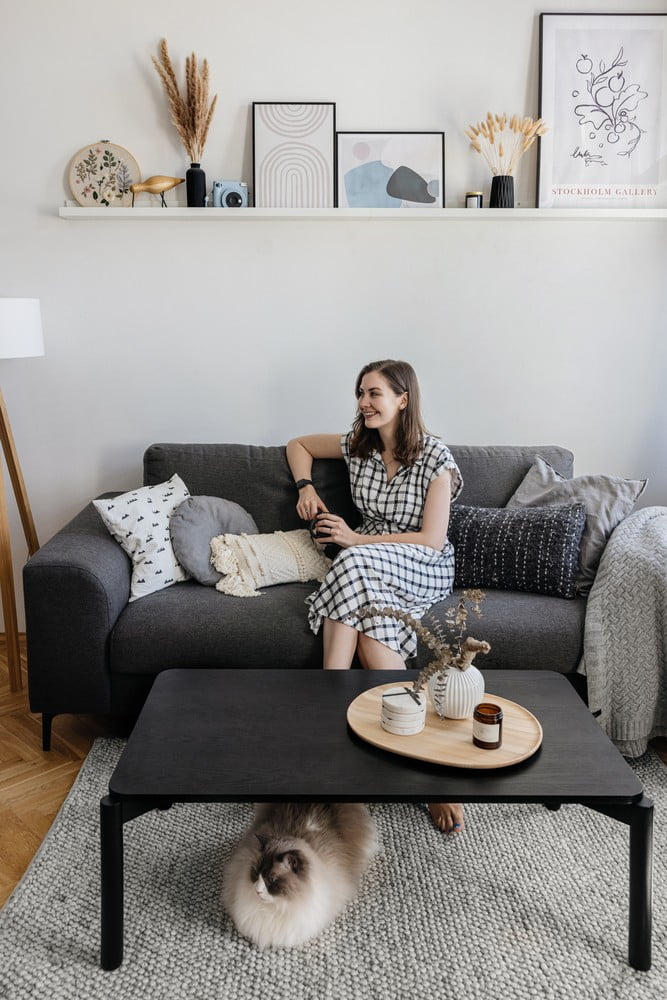 Įkvėpimas : Svetainė, Skandinaviškas stilius