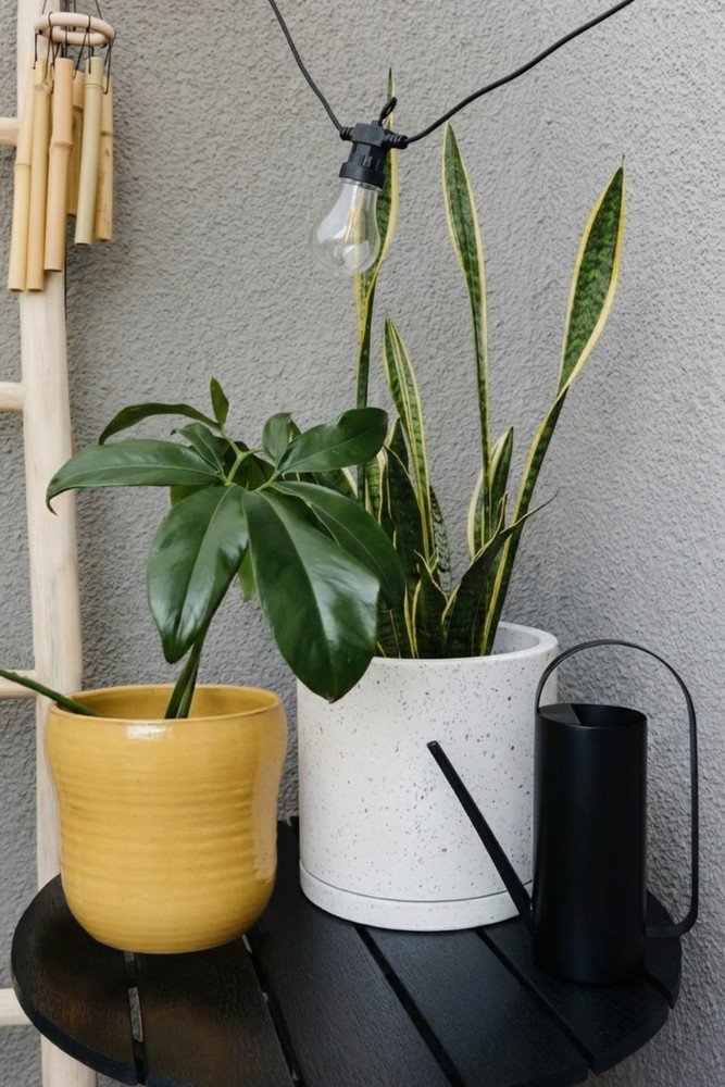 Įkvėpimas : Balkonas ir terasa, Vasara, Pavasaris