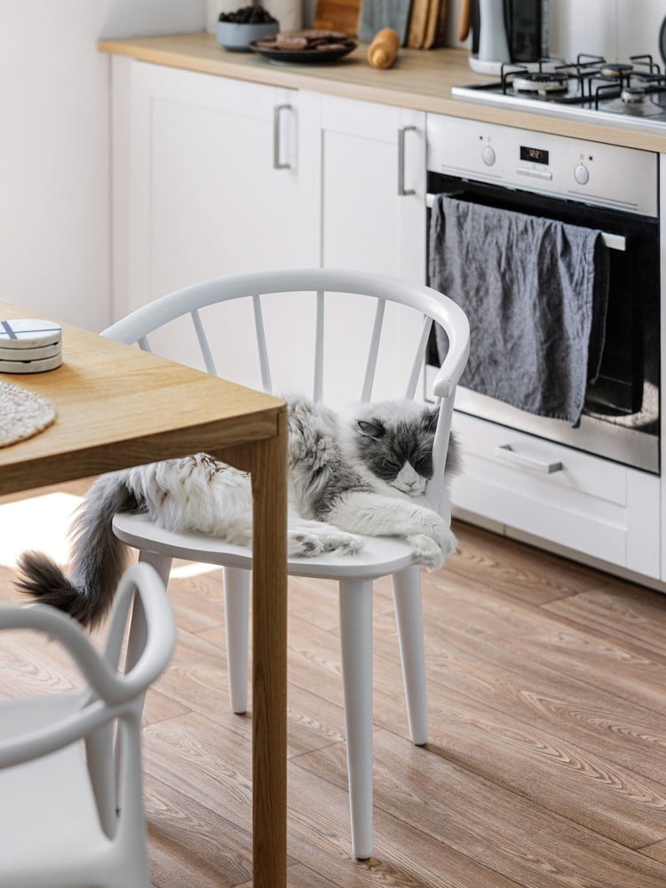 Įkvėpimas : Virtuvė ir valgomasis