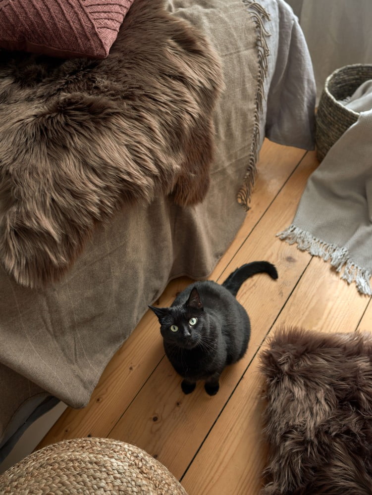 Įkvėpimas : Miegamasis