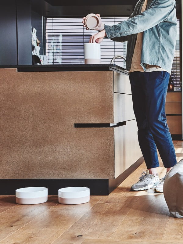 Įkvėpimas : Skandinaviškas stilius, Augintiniai