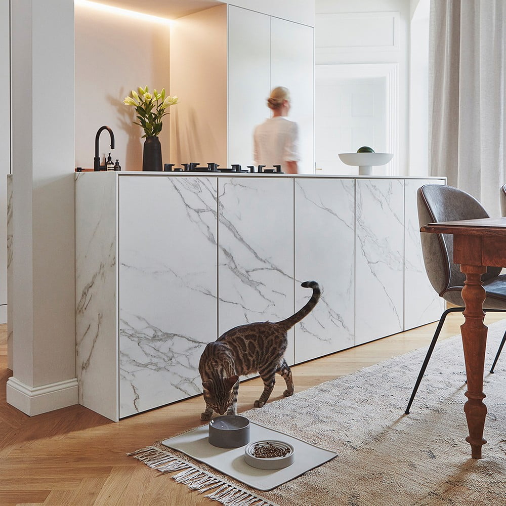 Įkvėpimas : Augintiniai