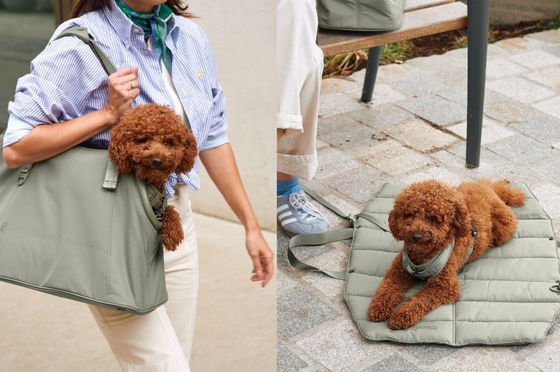 Įkvėpimas : Augintiniai