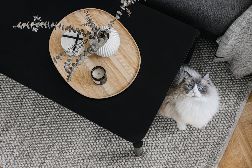 Įkvėpimas : Svetainė, Skandinaviškas stilius