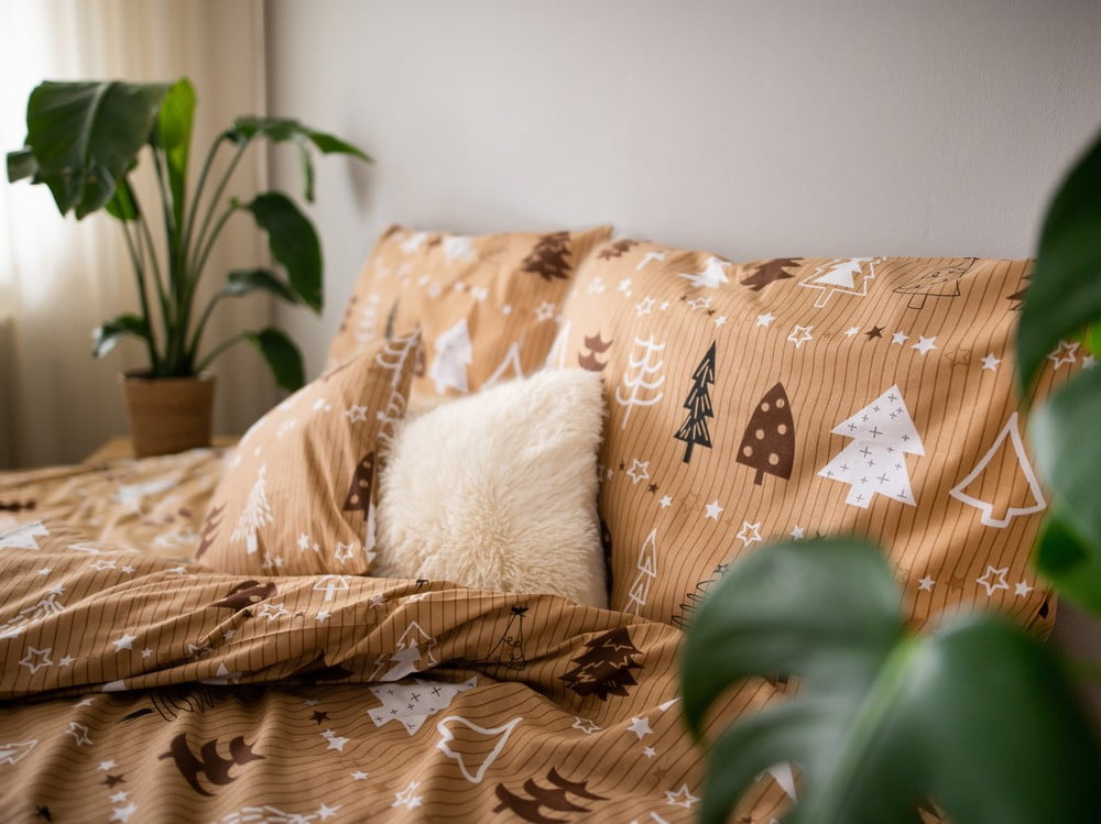 Įkvėpimas : Miegamasis