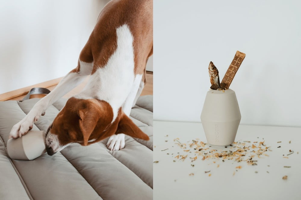 Įkvėpimas : Augintiniai